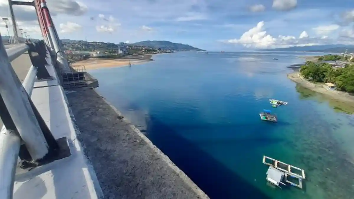 Ekosistem Teluk Ambon Terancam Rusak, Reklamasi Jadi Penyebab Utama