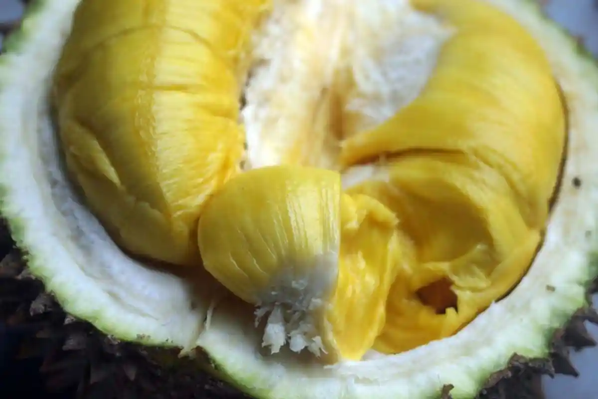 Fakta: Durian Mengandung Senyawa Alkohol! Hati-hati Mengkonsumsinya, Ketahui Dampak dan Manfaatnya