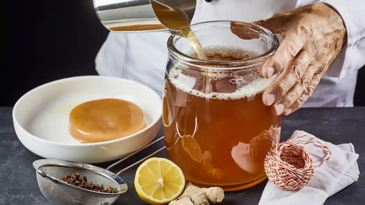 Mengenal Kombucha, Minuman Sehat yang Diklaim Berkhasiat untuk Kesehatan, Apa Manfaat dan Risikonya?