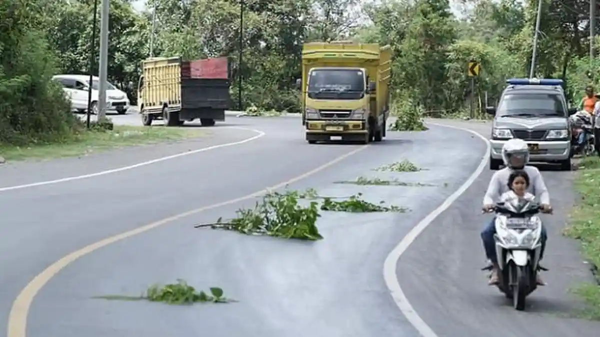 Hati-hati Melintas di Ruas Jalan Nasional Simpang Beutong Laweung Pidie, Ada Tumpahan CPO