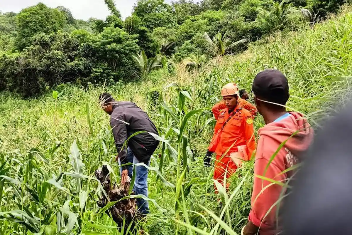 Tim Sar Gabungan Lakukan Pencarian Warga Nita Kabupaten Sikka yang Hilang Setelah Berkebun