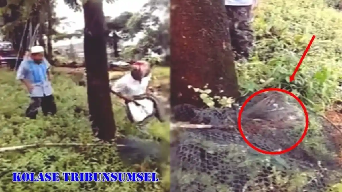 Warga Ramai Tangkap Hewan Aneh Bisa Menangis,Jeritannya Seperti Suara Anak Bayi!