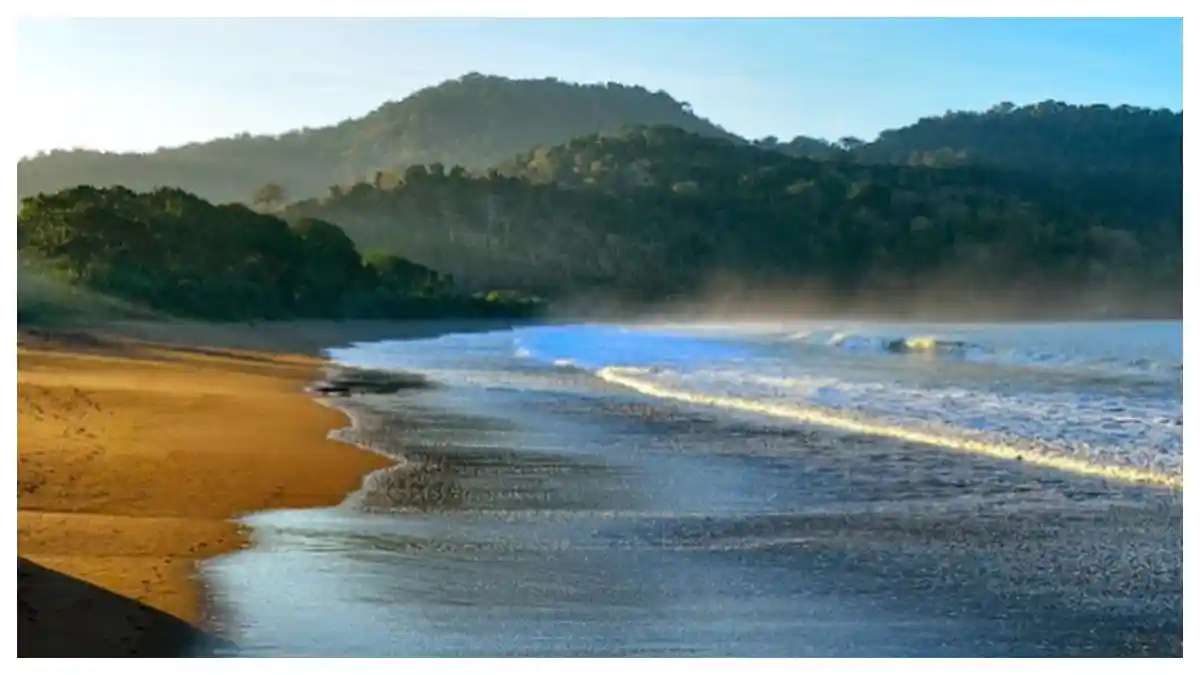 Jember Jawa Timur Punya Pantai Tersembunyi 64 Km dari Pusat Kota, Asri & Sepi, Serasa Private Beach