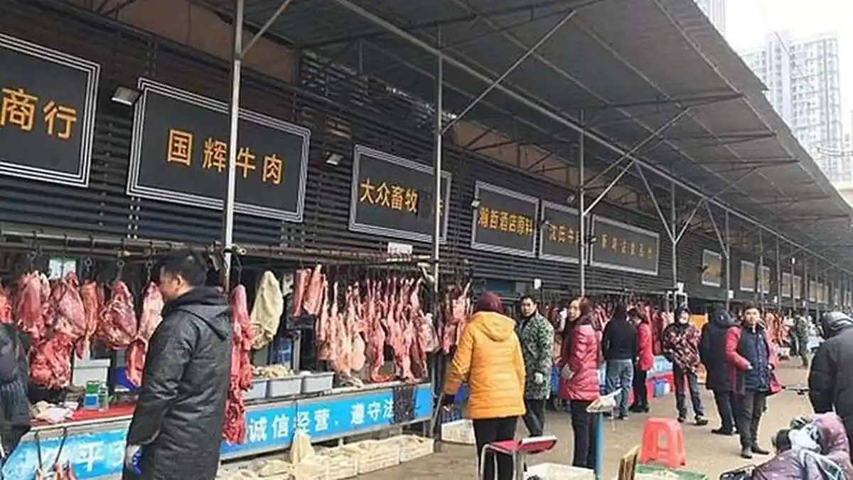 Baru Pulih dari Covid-19, Pasar Wuhan Sudah Kembali Dibuka, Hewan Liar Dijajakan, Diserbu Pengunjung