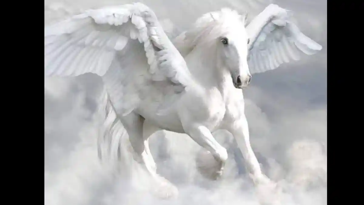 Kisah Nabi Muhammad Menaklukan Buraq, Kendaraannya dalam Isra Miraj