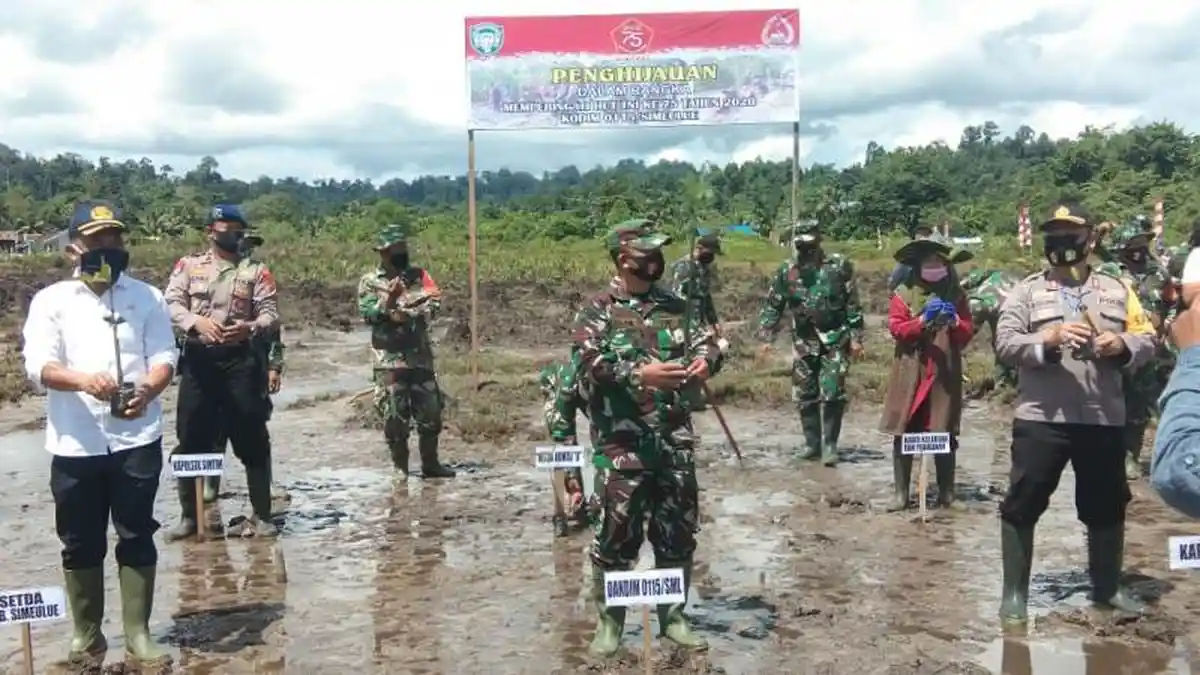 Sambut HUT Ke-75 TNI, Kodim Simeulue Tanam Mangrove di Simeulue Timur