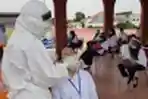 Tes SKB CPNS Pemkot Surabaya Digelar dengan Protokol Kesehatan