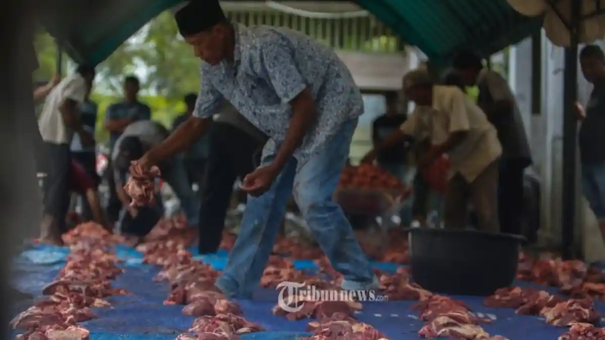 Kapan Hari Raya Idul Adha 2021? Simak Penetapan Lebaran Haji oleh Pemerintah dan Muhammadiyah