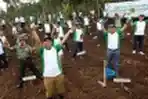 Penanaman 10.000 Bibit Pohon Kopi Gunung Puntung Bandung