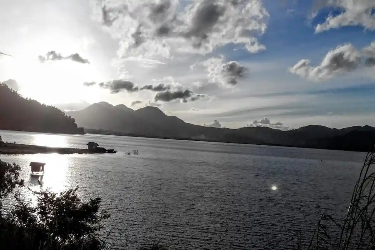 Heboh Ikan Predator dan Depik di Lut Tawar, Aceh Banyak Danau, Simak Penjelasan Dinas Perikanan Aceh