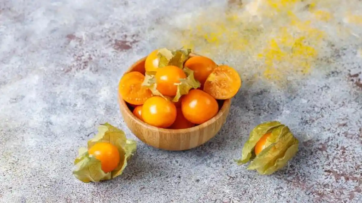 9 Manfaat Buah Ciplukan bagi Kesehatan, Perkuat Imun hingga Cegah Penuaan Dini