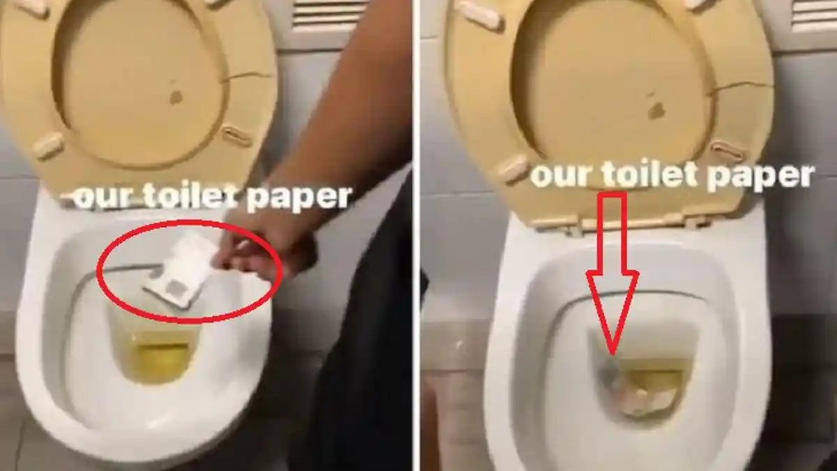 Uang 50 Dollar Singapura Dibilang Cuma Tisu Toilet: Siswa Ini Terancam Denda 2.000 Dollar