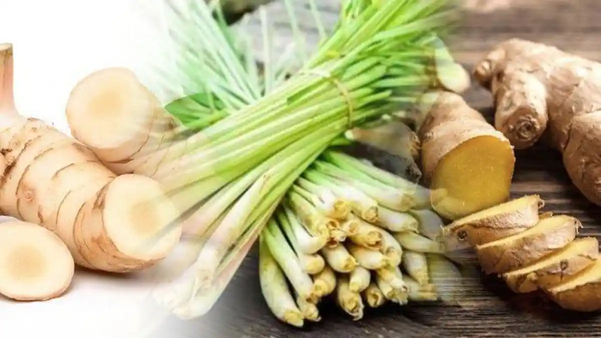 3 Bumbu Dapur Ini Berkhasiat Mengobati Gatal Gatal, Berikut Resep Dr Zaidul Akbar