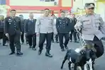 Purna-Tugas-Usai-39-Tahun-Mengabdi-Iptu-Reliyanto-Dapat-Hadiah-Sepasang-Kambing-dari-Kapolres-OKI.jpg