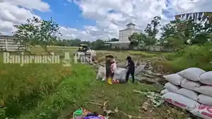 Petani-muda-bernama-Dardi-mulai-memanen-padi-di-lahan-pertanianny1.jpg