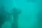  Pengibaran Bendera di Dalam Laut Sabang