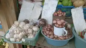 Bawang-merah-dan-bawang-putih.jpg