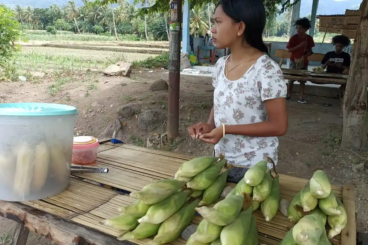 Menikmati Jagung Rebus Agrowisata Waigete di Kaki Gunung Egon
