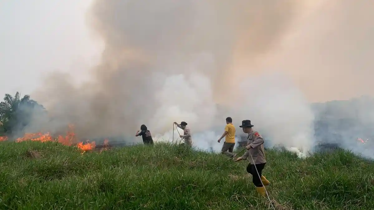 10 Kabupaten/Kota di Sumsel Disebut Bakal Terima Banpres Karhutla Tahap ...
