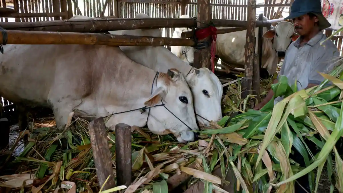 PPIH Koordinir Pembayaran DAM Petugas Haji Agar Transparan dan Akuntabel