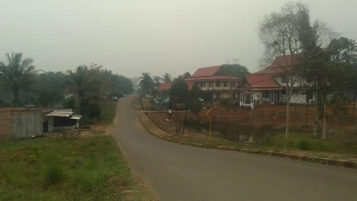 Mulai Diguyur Hujan, Tanjab Timur Masih Diselimuti Kabut Asap Meski Titik Api Hilang