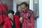 Jokowi-dan-Megawatisss.jpg
