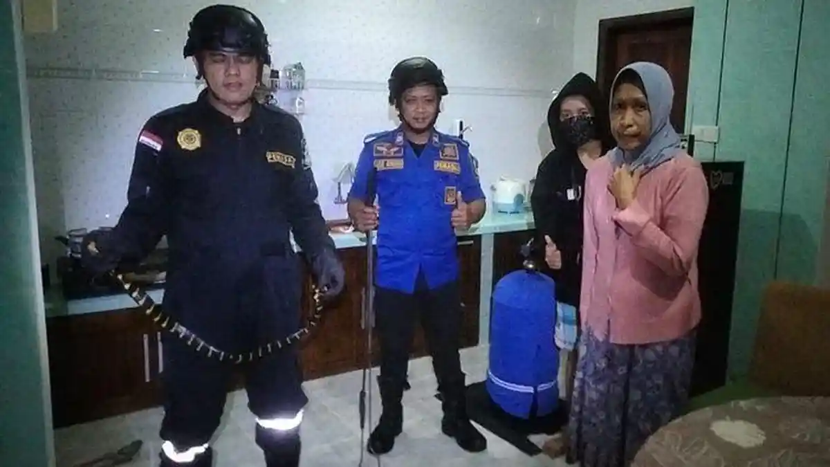 Ular Masuk Rumah, Ibu Sri Kaget saat Lihat Ada Ular di Dapur, Damkar Kuningan Langsung Datang