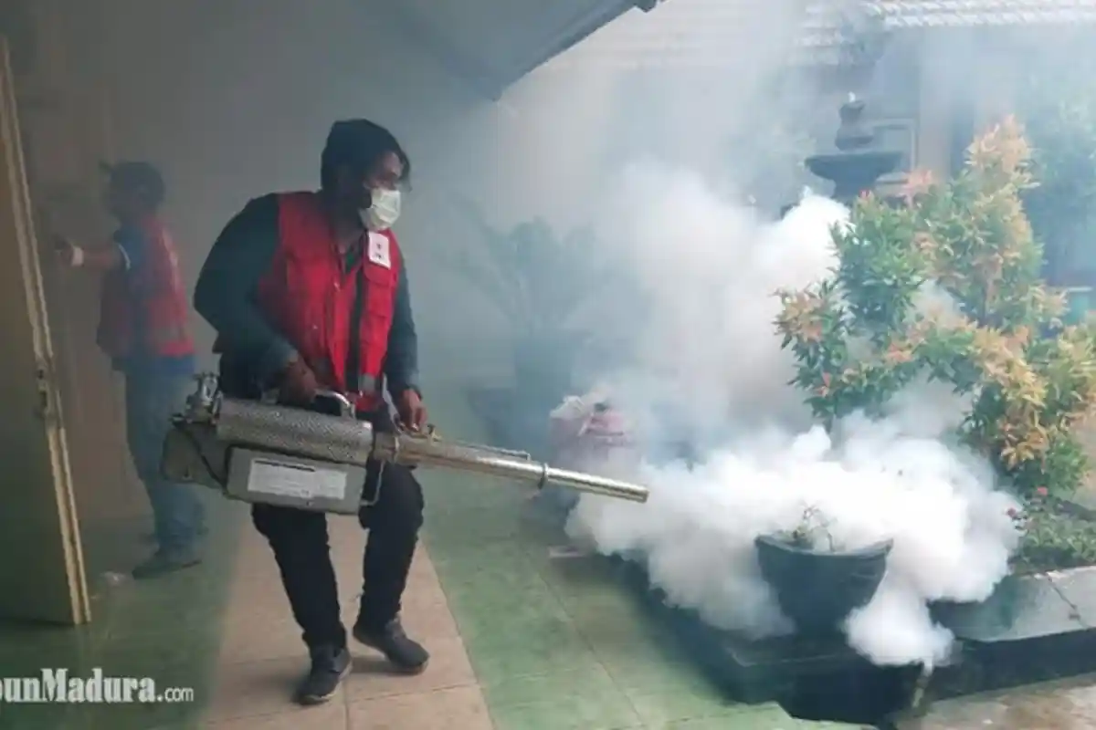 PMI Jember Fogging Area Sekitar SMPN 1 Rambipuji Usai Terima Kabar 2 Warga Setempat Tewas karena DBD