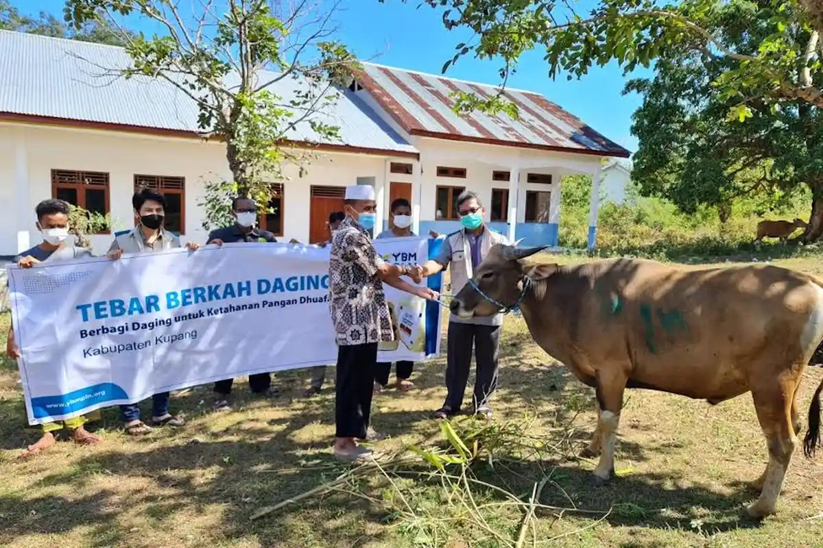 Sambut Idul Adha 1442 H, PLN Sumbangkan 2.977 Hewan Kurban