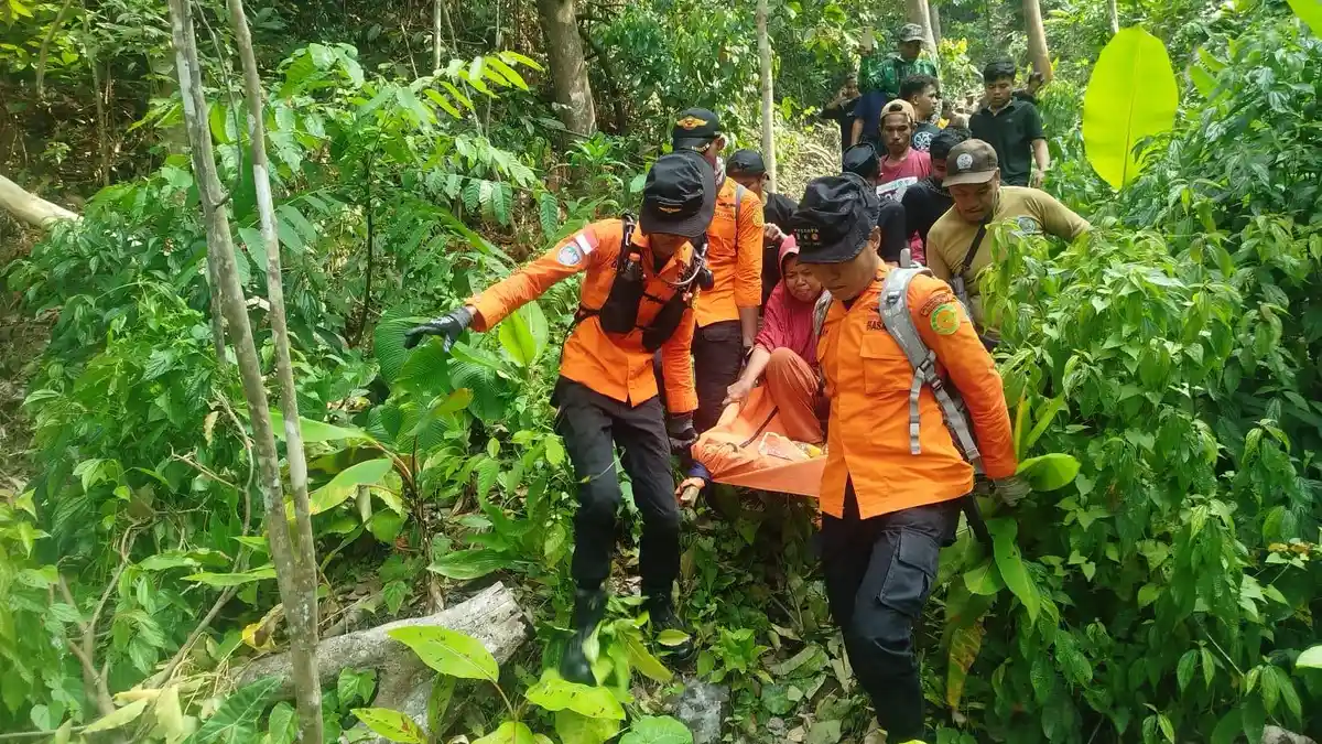Masuk ke Hutan Polman Seorang Diri, Ibu Rumah Tangga Ditemukan Lemas ...