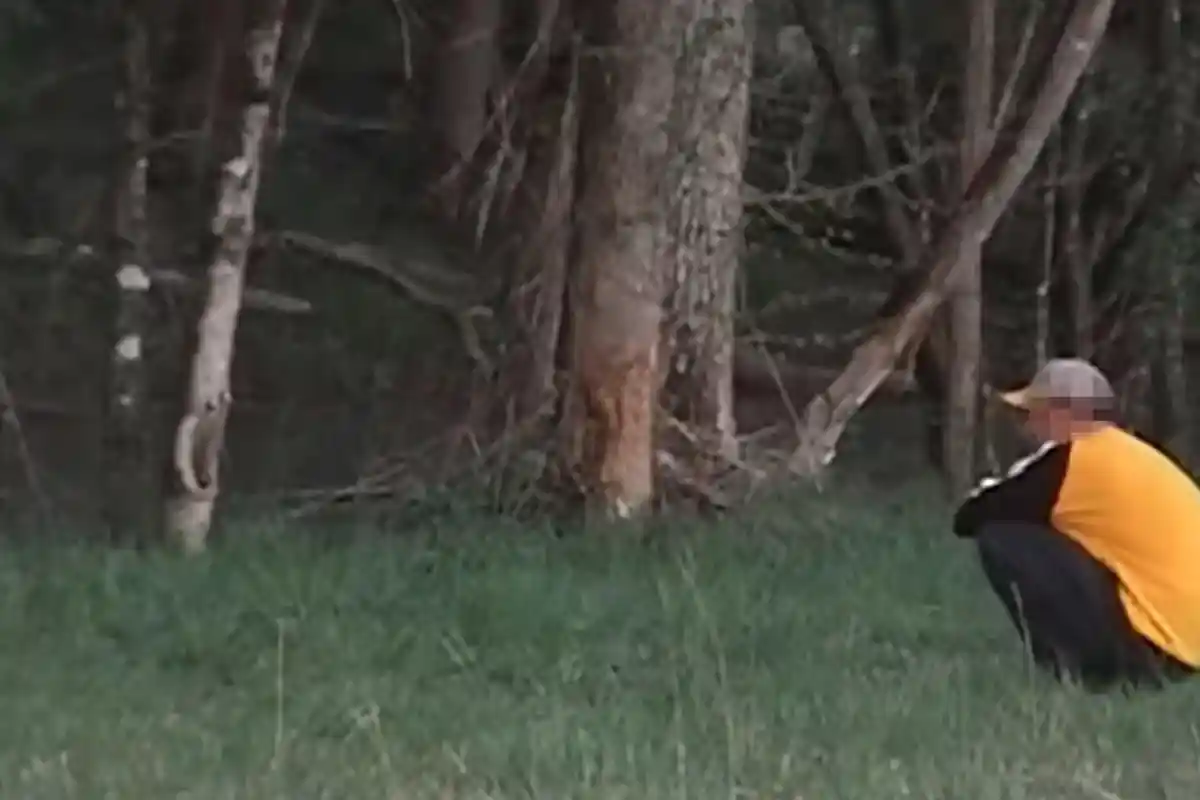 Arti Lagu Glimpse of Us dari Joji yang Viral di TikTok, Sulit Move On dari Mantan