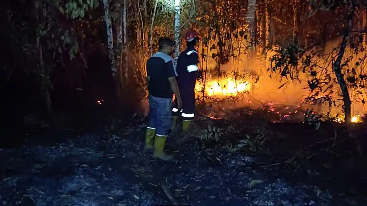 Damkar PT Timah Sampai Kirim Bantuan, Kebakaran Lahan Karimun Makin Menjadi