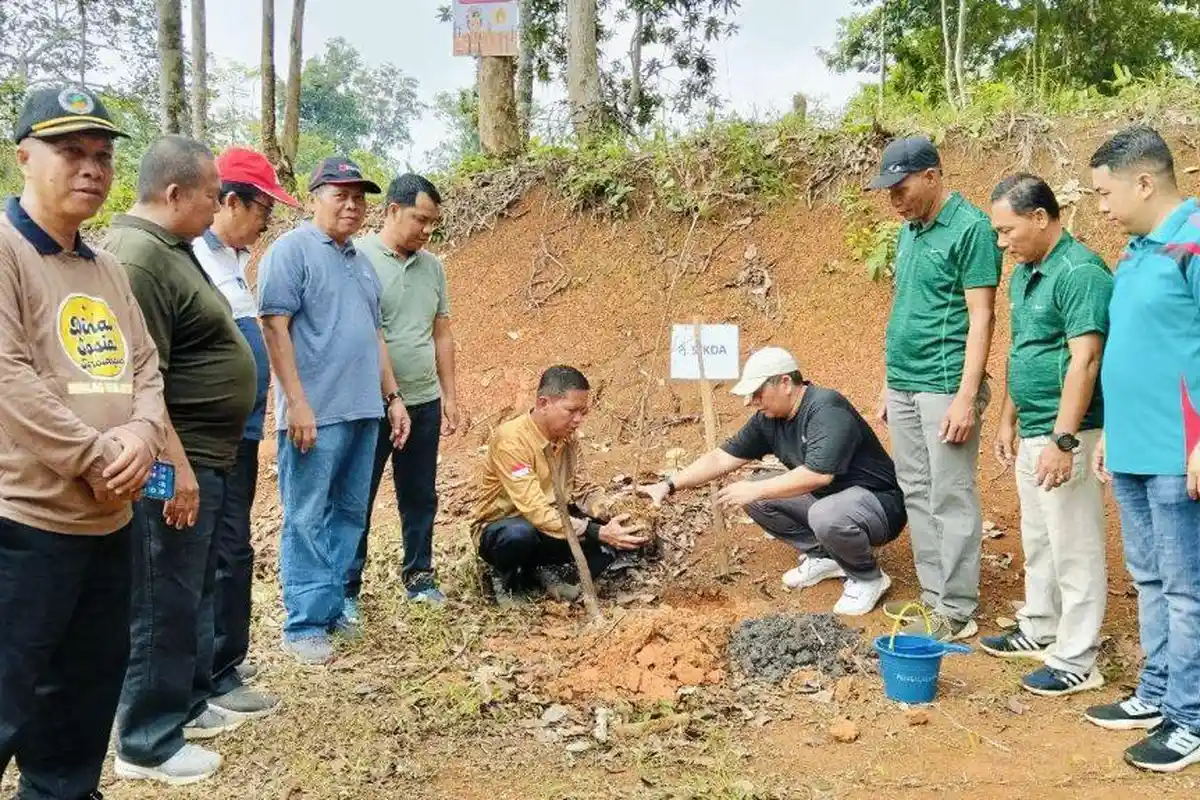 PJ Sekda Sarolangun Launching Koperasi Hijau Lestari, Tanam Pohon, hingga Sebar Bibit Ikan