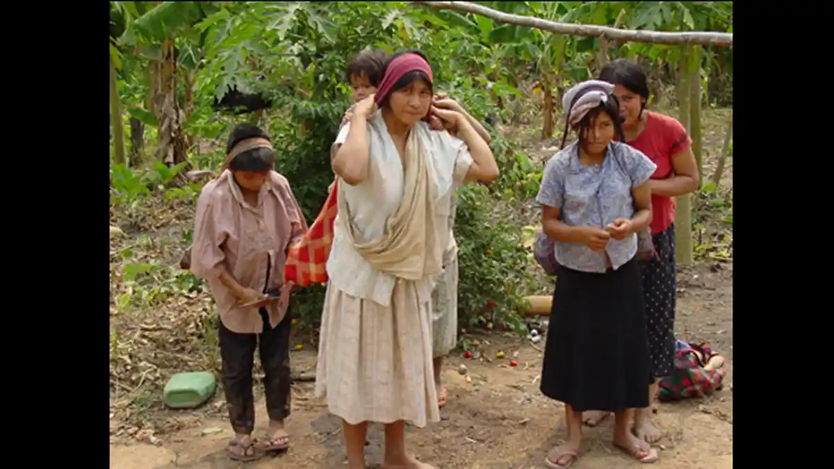 Di-klaim Jadi Suku Paling Sehat, Apa Rahasia Orang-orang Tsimane?