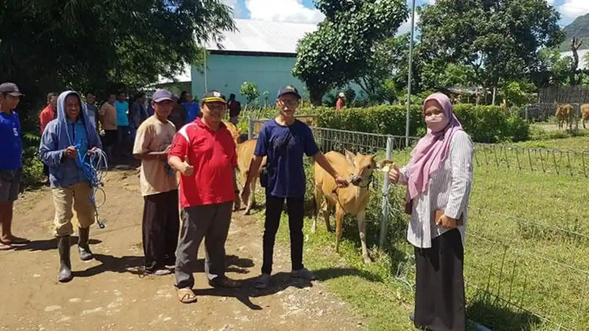 Anggota DPRD KSB Aherudin Sidik Bagikan Hewan Ternak untuk Warga Seteluk dan Brang Rea