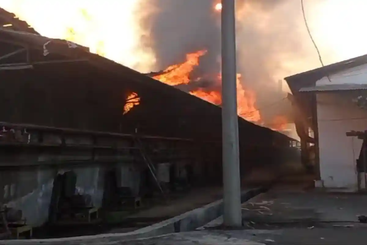 Kebakaran Pabrik Kayu di Lumajang, Kobaran Api Menjalar Cepat, 2 Jam Bisa Dipadamkan