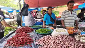 harga-cabai-di-panam-140.jpg