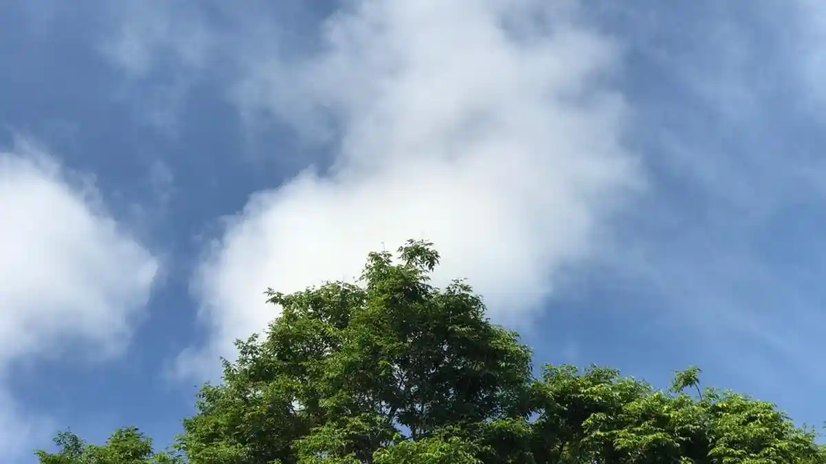 BMKG Gorontalo Jumat 24 Juni 2022: Taluditi-Randangan Hujan Lebat, Petir, Angin Kencang