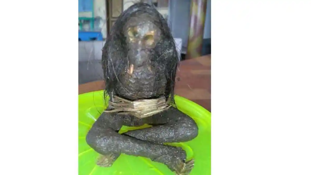 Saat Ditemukan, Jenglot Itu Terbalut Kain Kafan