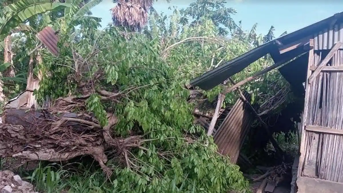 Peringatan Dini BMKG Cuaca NTT Hari Ini 8 Juni 2024,Waspada Angin Kencang dan Kebakaran Hutan/Lahan