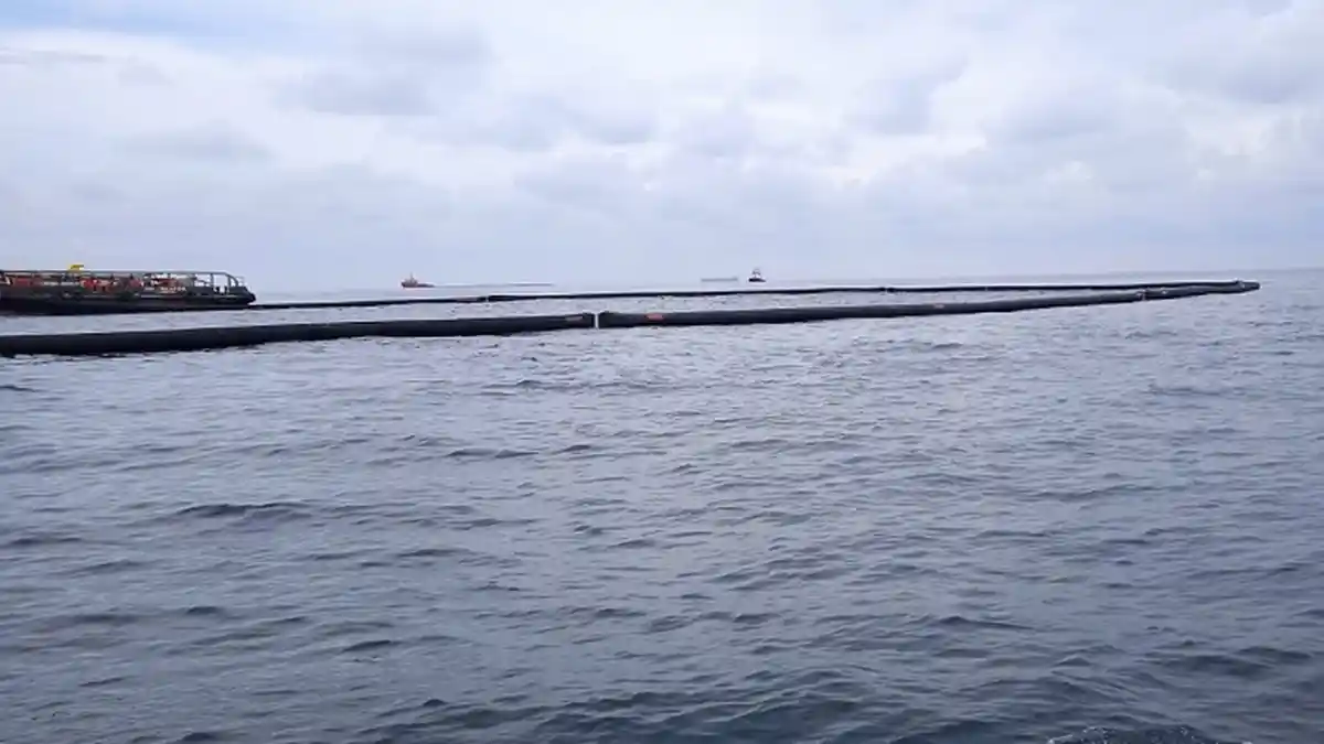 Tumpahan Minyak Mintah di Lepas Pantai Langsa Pengaruhi Penurunan Burung Migrasi