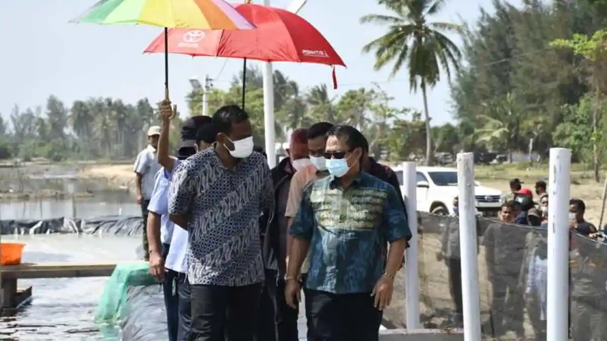 Tim KKP Survei Tambak di Aceh Timur yang akan Dijadikan Tempat Produksi Udang Vaname Terintegrasi 