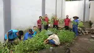 panen_kangkung_lapas_selong_353522.jpg