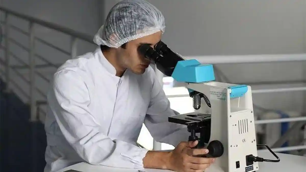 Hasil Studi: HPTL Berpotensi Kurangi Risiko bagi Perokok di Indonesia