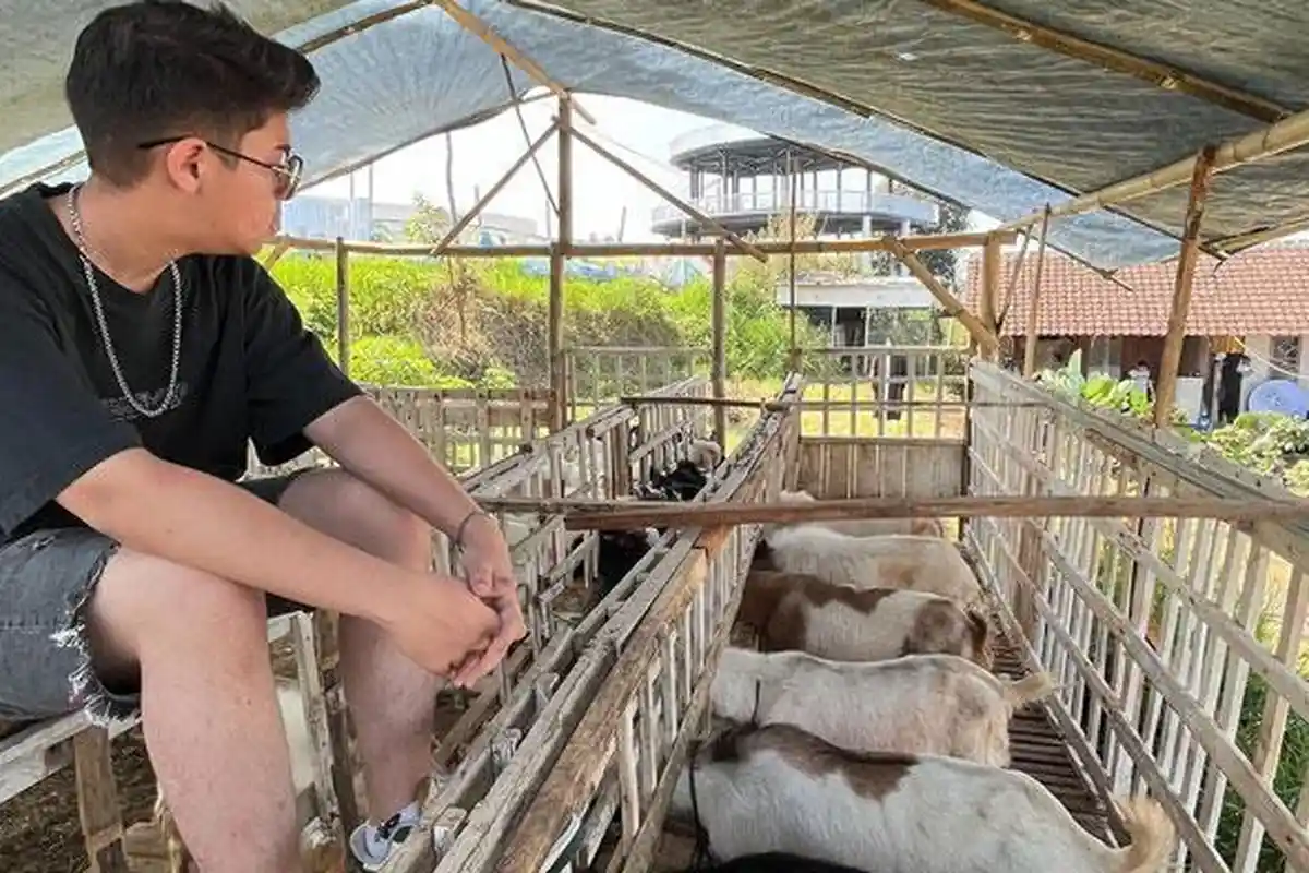 Nasib Artis Cilik Asal Malang Jadi Juragan Kambing Omset Miliaran, Dulu Lawan Main Raffi Ahmad