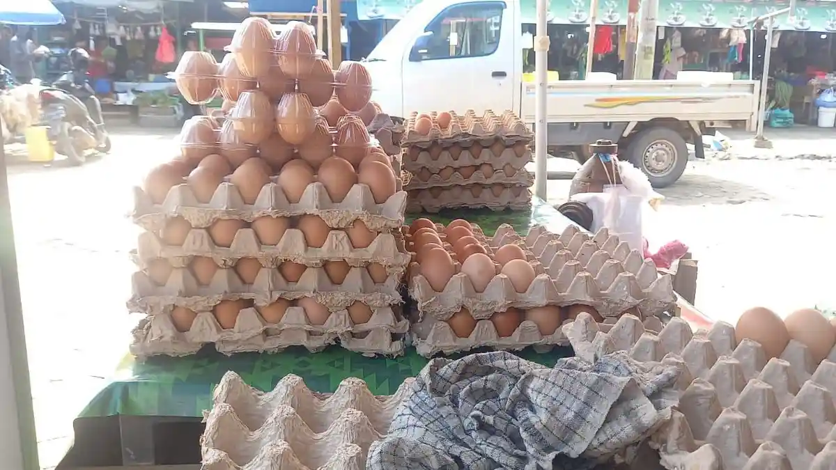 Harga Telur di Pasar Induk Sangatta Utara Capai Rp 65 Ribu, Stok Mulai Minim