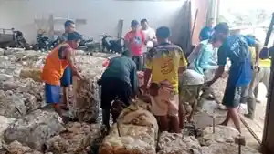 harga-karet-di-Kabupaten-Kuantan-Singingi.jpg