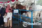 warga-berfoto-bersama-sapi-kurban-dari-presiden-ri-joko-widodo_20170901_074844.jpg