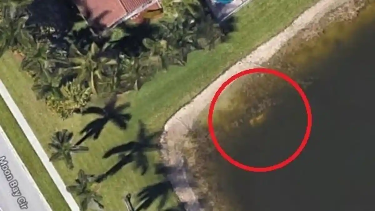 22 Tahun Menghilang Tanpa Jejak, Pria Ini Tak Sengaja Ditemukan Lewat Google Maps, Begini Nasibnya