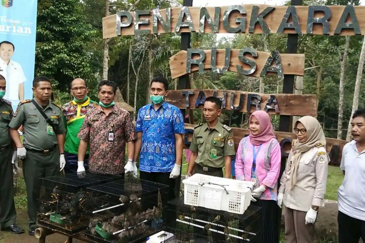 321 Burung Selundupan Dilepaskan di Tahura Wan Abdul Rahman 